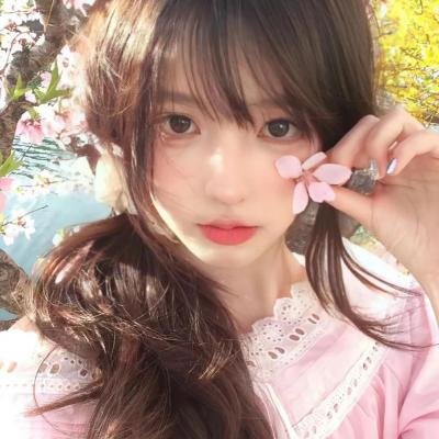 动物园之夜